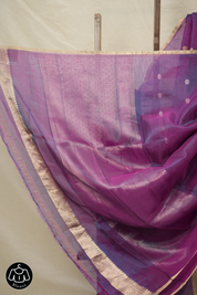 Blue-Purple Tissue Banarasi Silk Saree - SRBPTBSS30
