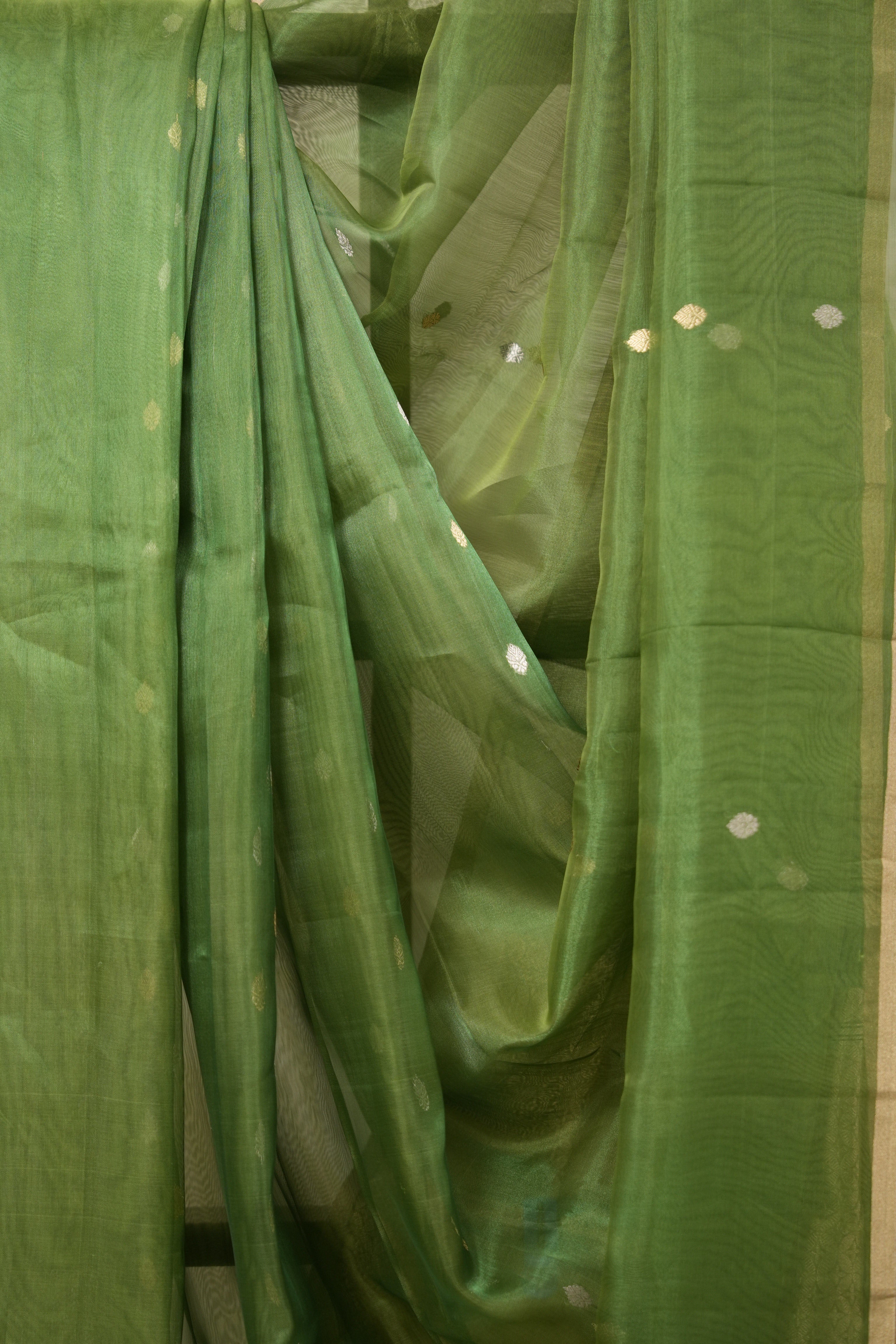 Green Tissue Banarasi Silk Saree - SRGTBSS26