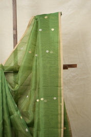 Green Tissue Banarasi Silk Saree - SRGTBSS26