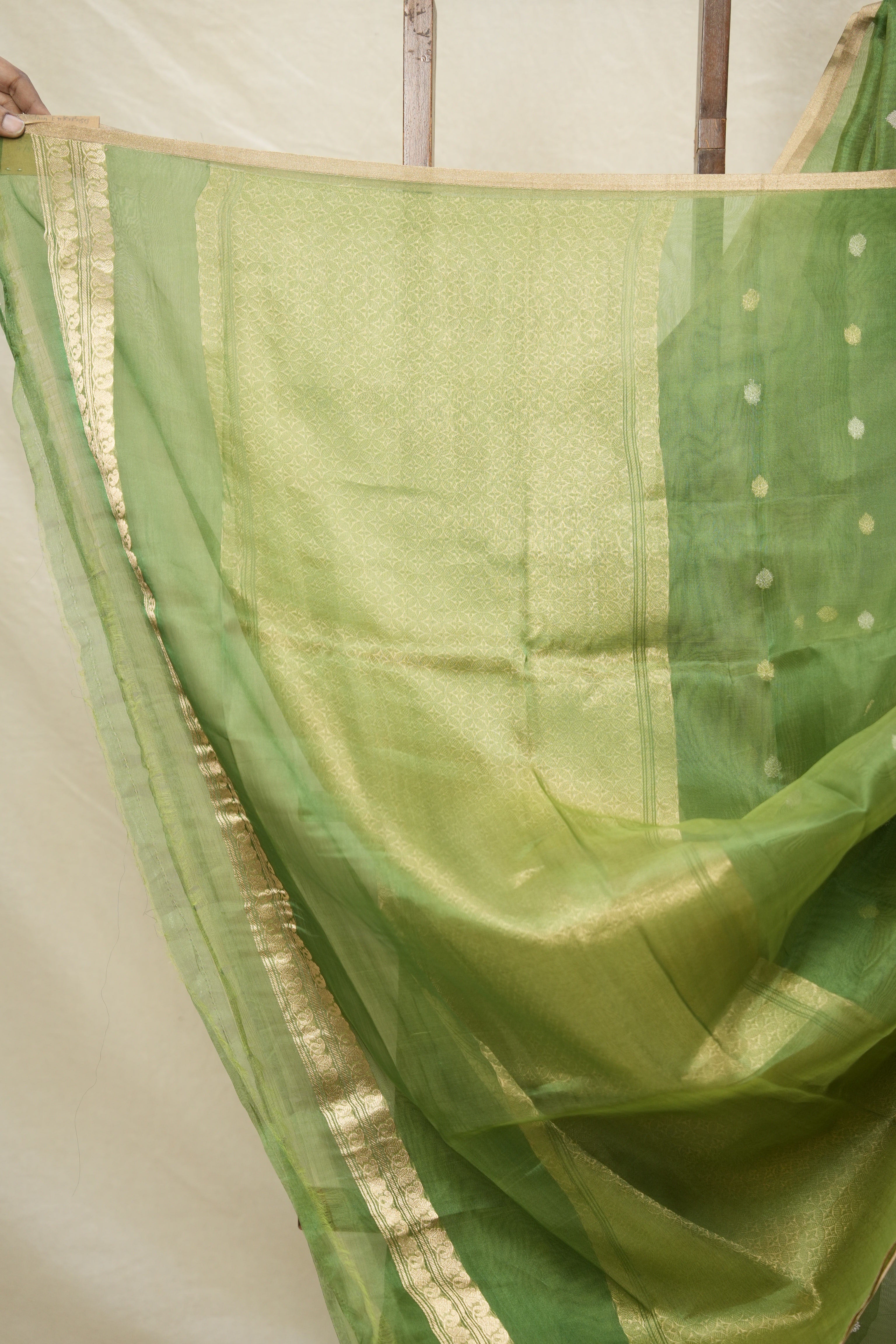 Green Tissue Banarasi Silk Saree - SRGTBSS26