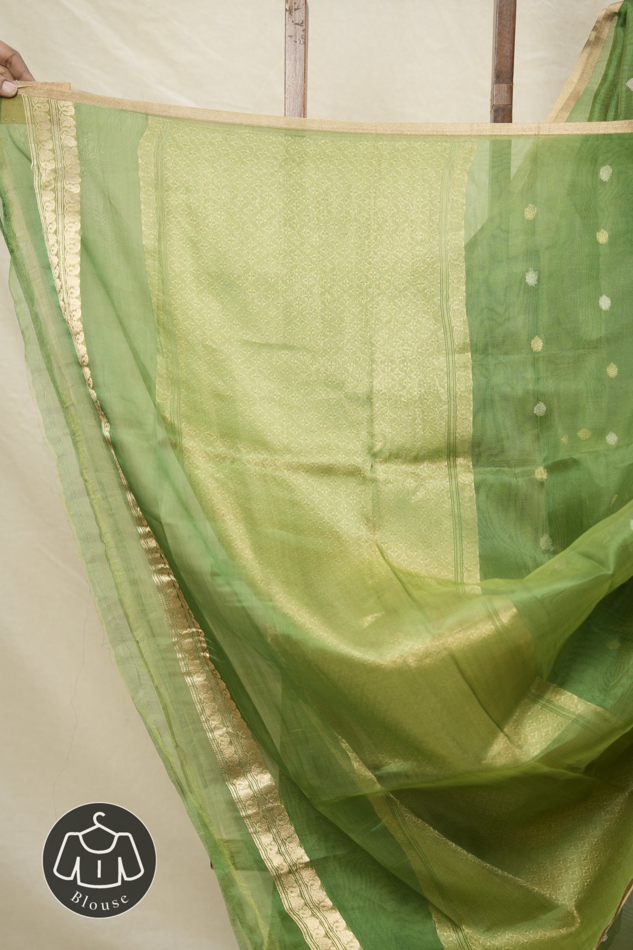Green Tissue Banarasi Silk Saree - SRGTBSS26