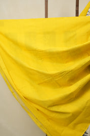 White Pochampalli Cotton Ikat Saree - SRWPCIS674