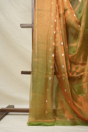 Copper Green Tissue Banarasi Silk Saree - SRCGTBSS10
