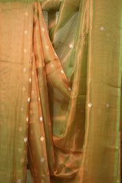 Copper Green Tissue Banarasi Silk Saree - SRCGTBSS10