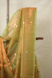 Copper Green Tissue Banarasi Silk Saree - SRCGTBSS10