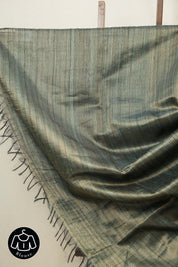 Teal Green Raw Silk Saree - SRTGRSS527