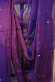 Purple Tissue Banarasi Silk Saree - SRPTBSS12