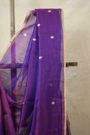 Purple Tissue Banarasi Silk Saree - SRPTBSS12