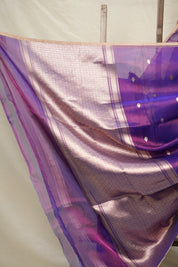 Purple Tissue Banarasi Silk Saree - SRPTBSS12