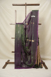 Two Tone Green Tissue Banarasi Silk Saree - SRTTGTBSS11