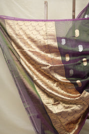 Two Tone Green Tissue Banarasi Silk Saree - SRTTGTBSS11