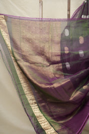 Two Tone Green Tissue Banarasi Silk Saree - SRTTGTBSS11