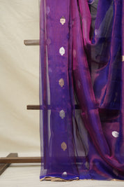 Purple Tissue Banarasi Silk Saree - SRPTBSS008