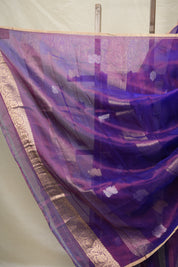 Purple Tissue Banarasi Silk Saree - SRPTBSS008