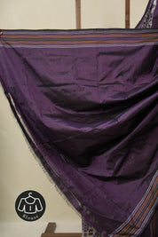 Grey Pochampalli Silk Ikat Saree - SRGPSIS308