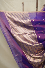 Purple Tissue Banarasi Silk Saree - SRPTBSS004