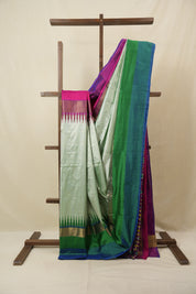 Mint Green Pochampalli Silk Ikat Saree - SRMGPSIS299