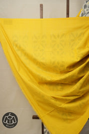 White Grey Pochampalli Cotton Ikat Saree - SRWGPCIS579