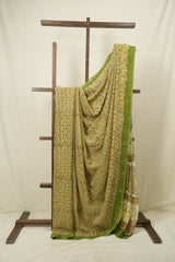 Green HBP Chiffon Saree - SRGHCS51