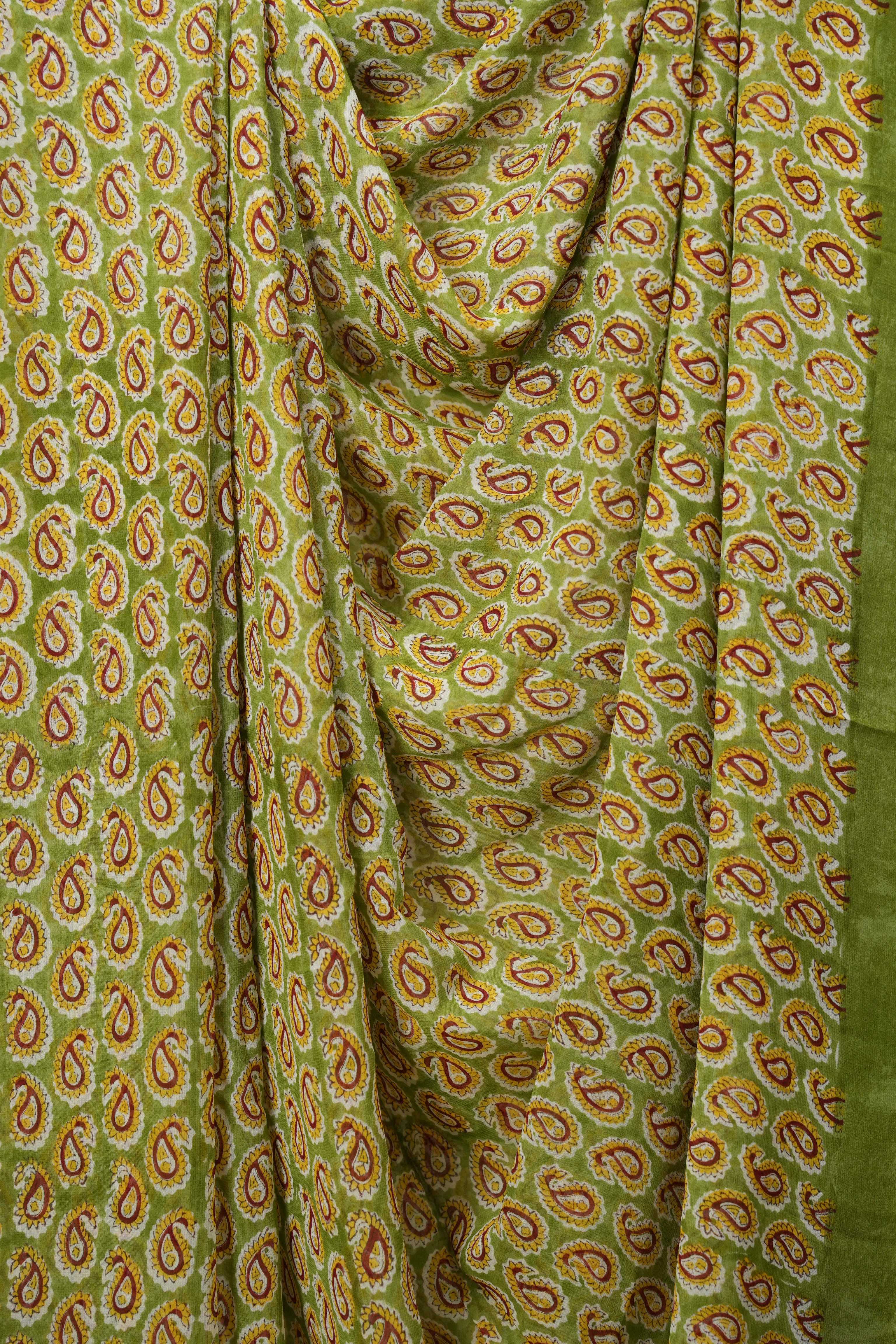 Green HBP Chiffon Saree - SRGHCS51