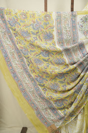 White HBP Chiffon Saree - SRWHCS50