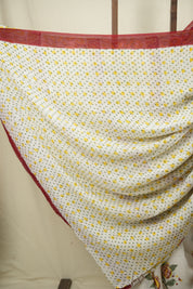 White HBP Chiffon Saree - SRWHCS59