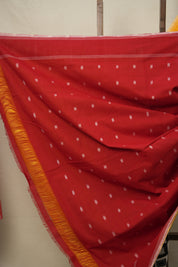 Black- White Blocks Pochampalli Cotton Ikat Saree - SRBWBPCIS581