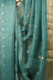 Light Rama Green Tissue Banarasi Silk Saree - SRLRGTBSS39