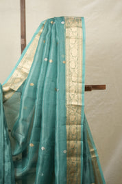 Light Rama Green Tissue Banarasi Silk Saree - SRLRGTBSS39