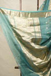 Light Rama Green Tissue Banarasi Silk Saree - SRLRGTBSS39
