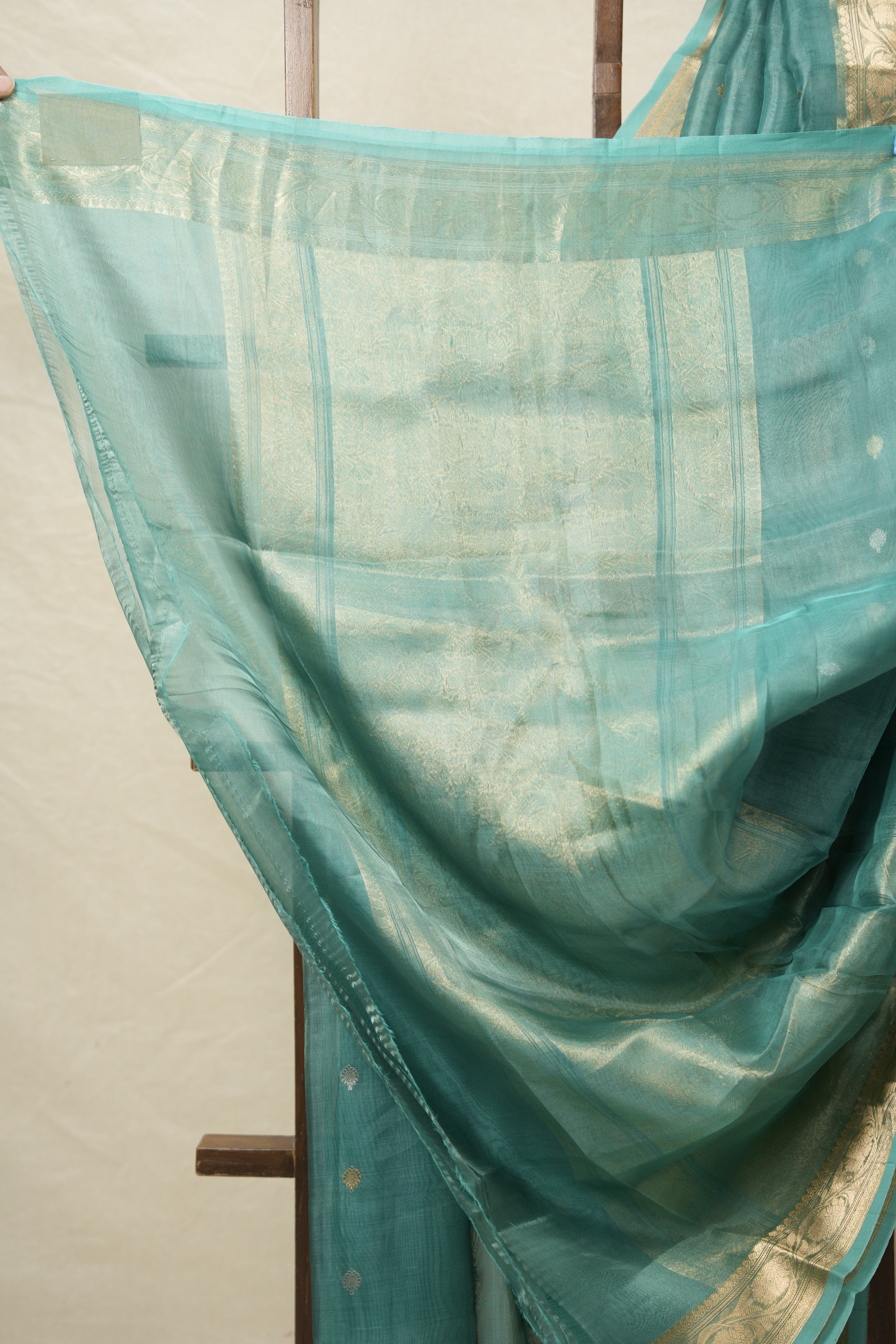 Light Rama Green Tissue Banarasi Silk Saree - SRLRGTBSS39