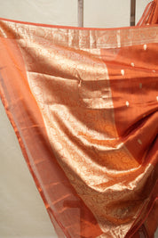 Copper Tissue Banarasi Silk Saree - SRCTBSS44