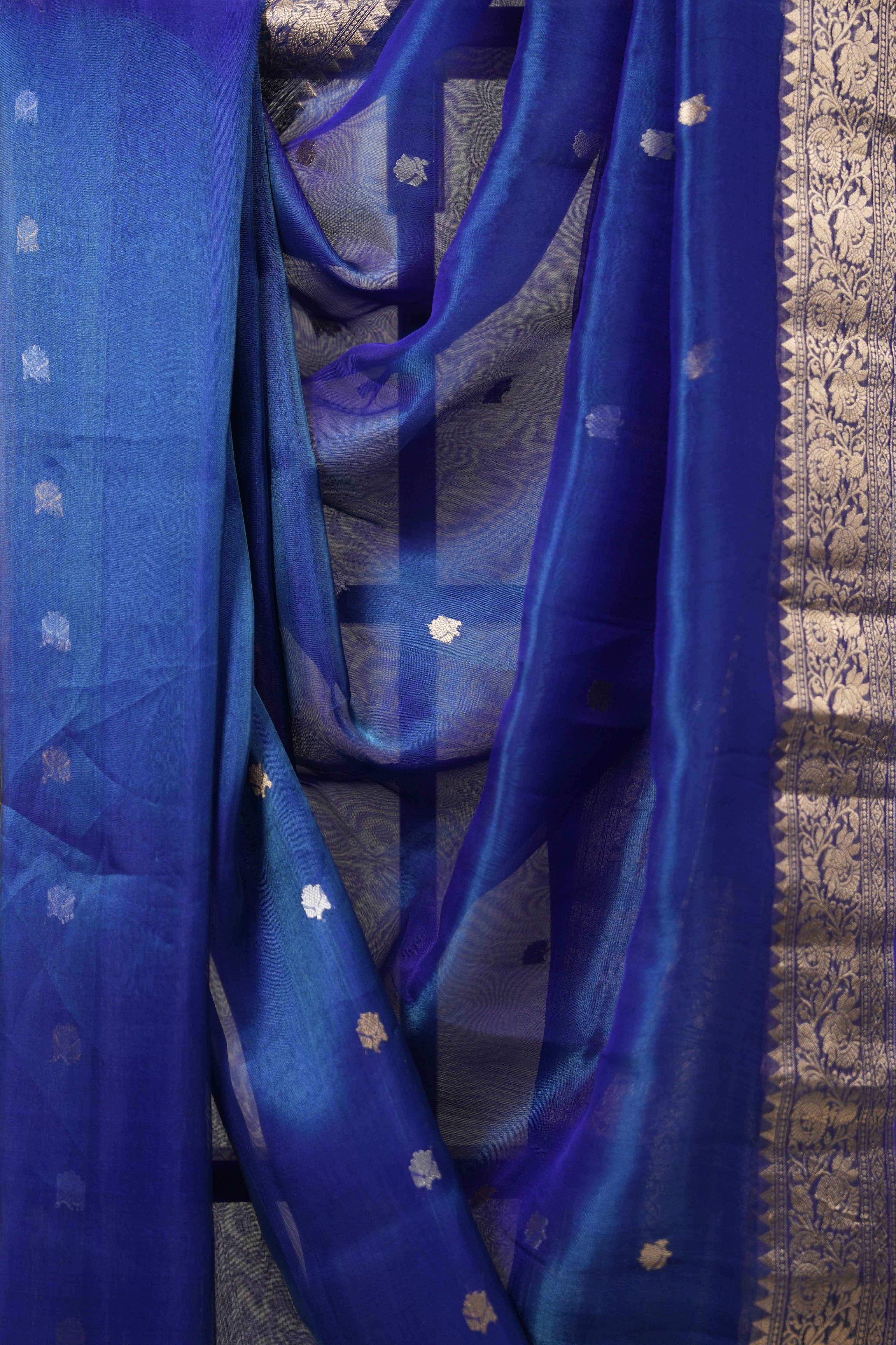Blue Tissue Banarasi Silk Saree - SRBTBSS43