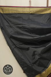 Beige Black Pochampalli Silk Ikat Saree - SRBBPSIS210