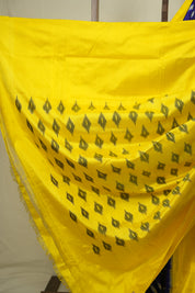 Royal Blue Pochampalli Silk Ikat Saree - SRRBPSIS333
