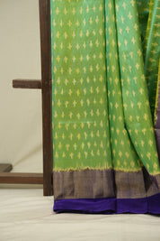 Dual Tone Mint Pochampalli Silk Ikat Saree - SRDTMPSIS328