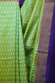 Dual Tone Mint Pochampalli Silk Ikat Saree - SRDTMPSIS328