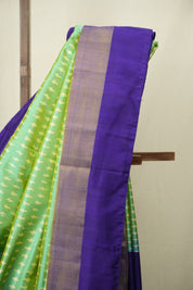 Dual Tone Mint Pochampalli Silk Ikat Saree - SRDTMPSIS328