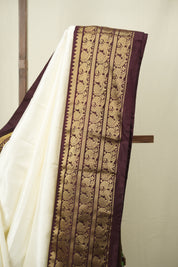 White Pochampalli Silk Ikat Saree - SRWPSIS320
