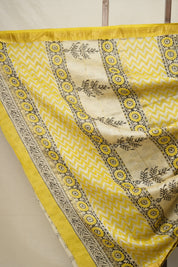 Teal Blue HBP Cotton Silk Saree With Maheshwari Border - SRTBCSS1277