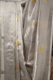 Grey Pattu Tissue Chanderi Silk Saree - SRGPTCSS444