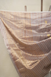 Grey Pattu Tissue Chanderi Silk Saree - SRGPTCSS444