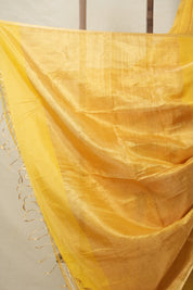 Yellow Maheshwari Tissue Saree - SRYMTS700