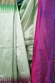 Mint Green Pochampalli Silk Ikat Saree - SRMGPSIS299