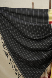 White Pochampalli Cotton Ikat Saree-SRWPCIS155