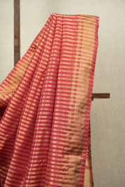 Aboli Cotton Silk Paithani Saree - SRACSPS01