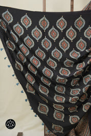 Black HBP Modal Silk Saree - SRBMSS599