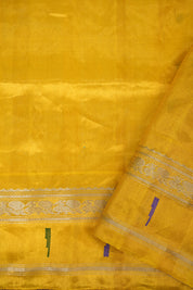Aqua Blue Gadwal Silk Saree - Saavari - SSABGSS17