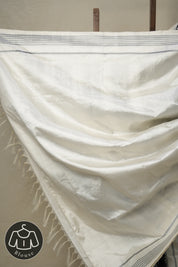 Cream White Pochampalli Silk Ikat Saree - SRCWPSIS241
