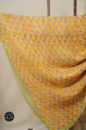 Pista Green HBP Chiffon Saree - SRPGHGS15